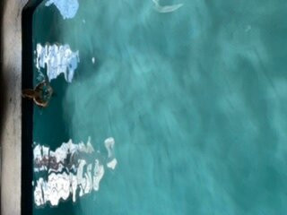 Cedar Lodge Motel主图