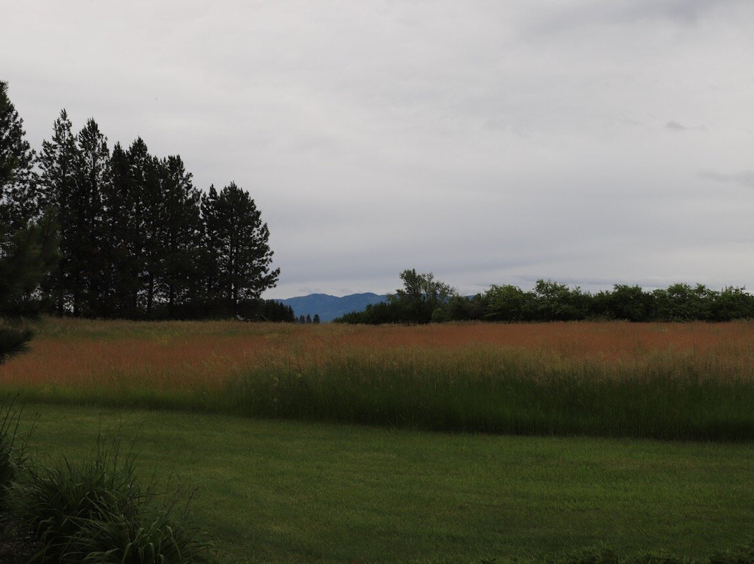 Bad Rock Bed and Breakfast主图