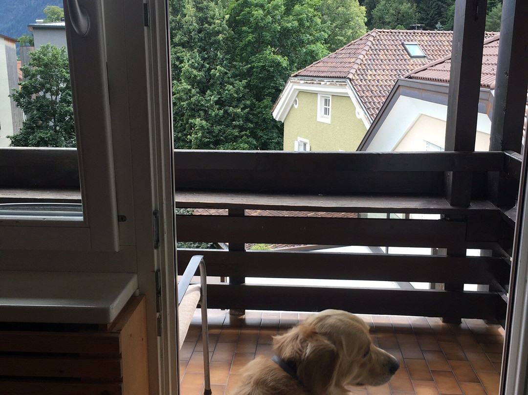 Residence Hotel Alpinum主图