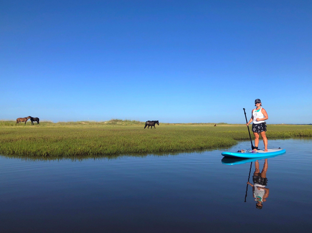 Amelia Island Paddle Surf Company-费尔南迪纳岛必去景点