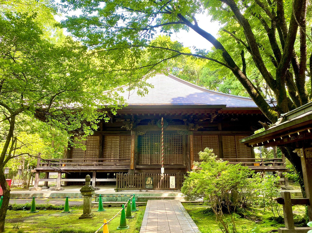 Kokubunji Yakushido-国分寺市必去景点