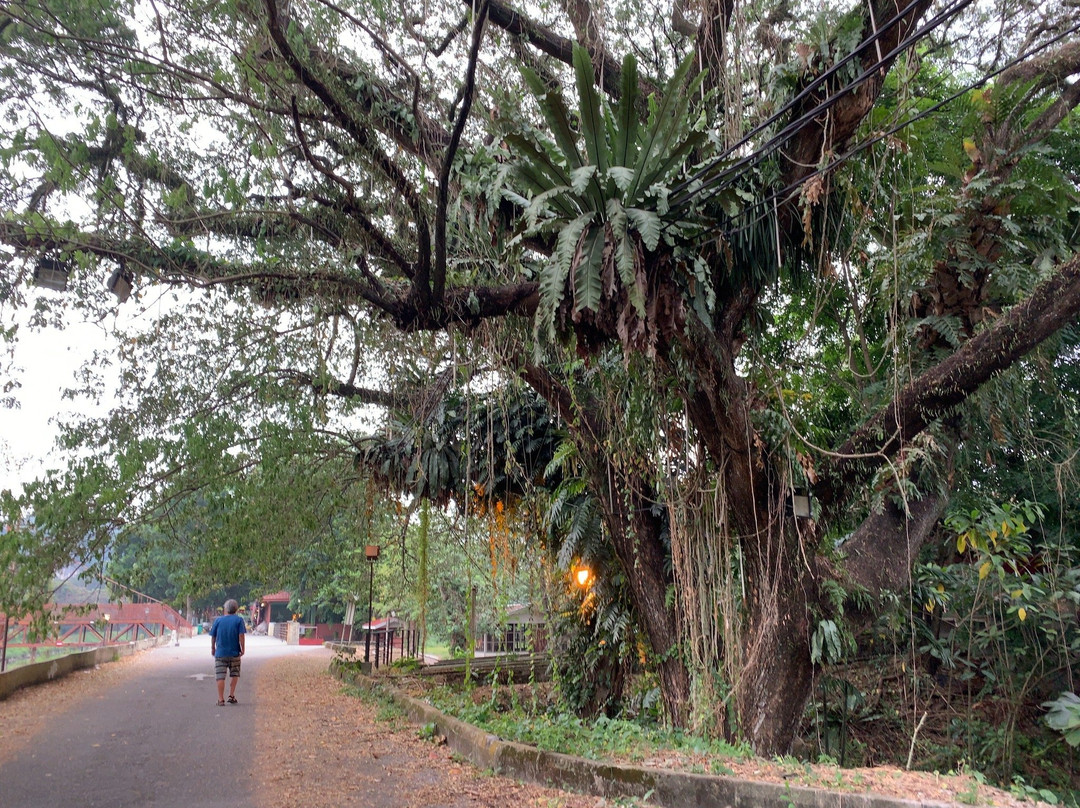 Padang Ipoh-怡保必去景点