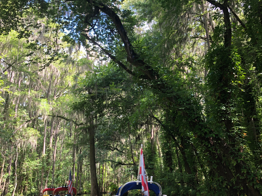 CatBoat Adventure Tours-Mount Dora必去景点