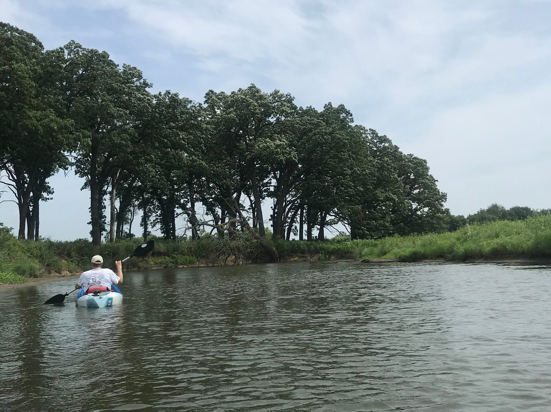 River Guide Kayaks景点图片