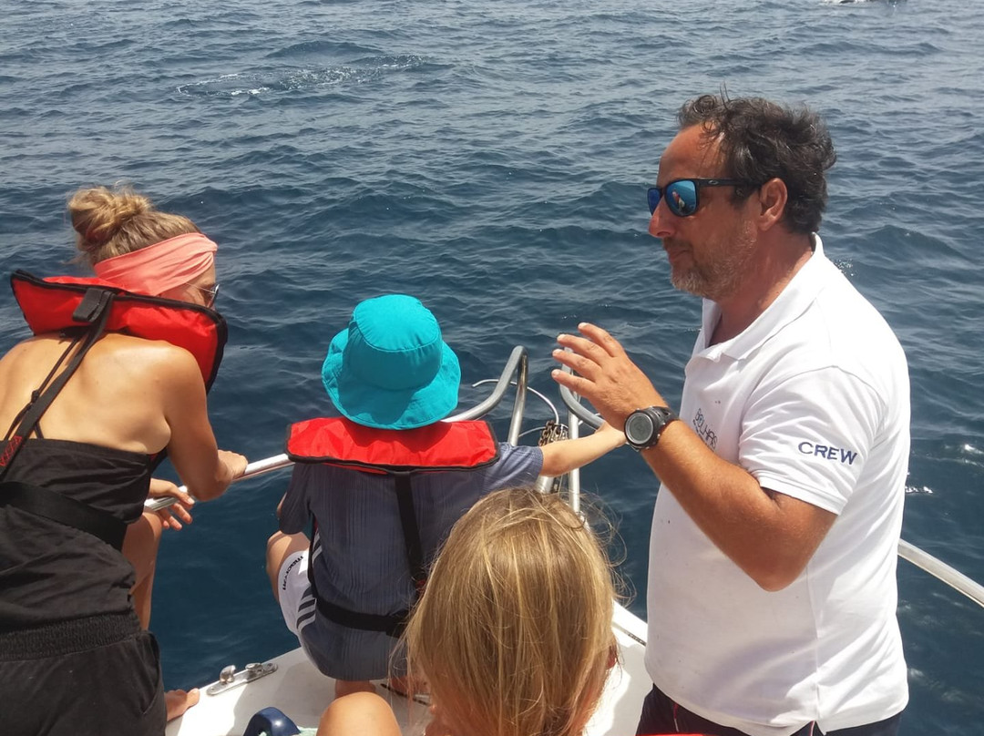 Bolhas Tours-塞新布拉必去景点