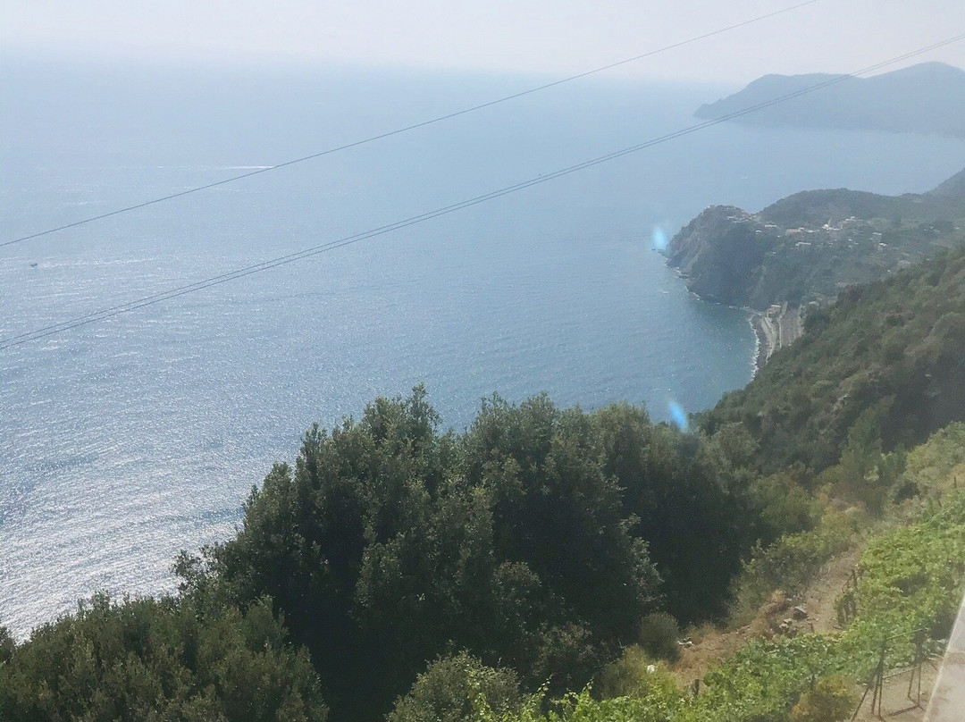 月神迪马索酒店主图