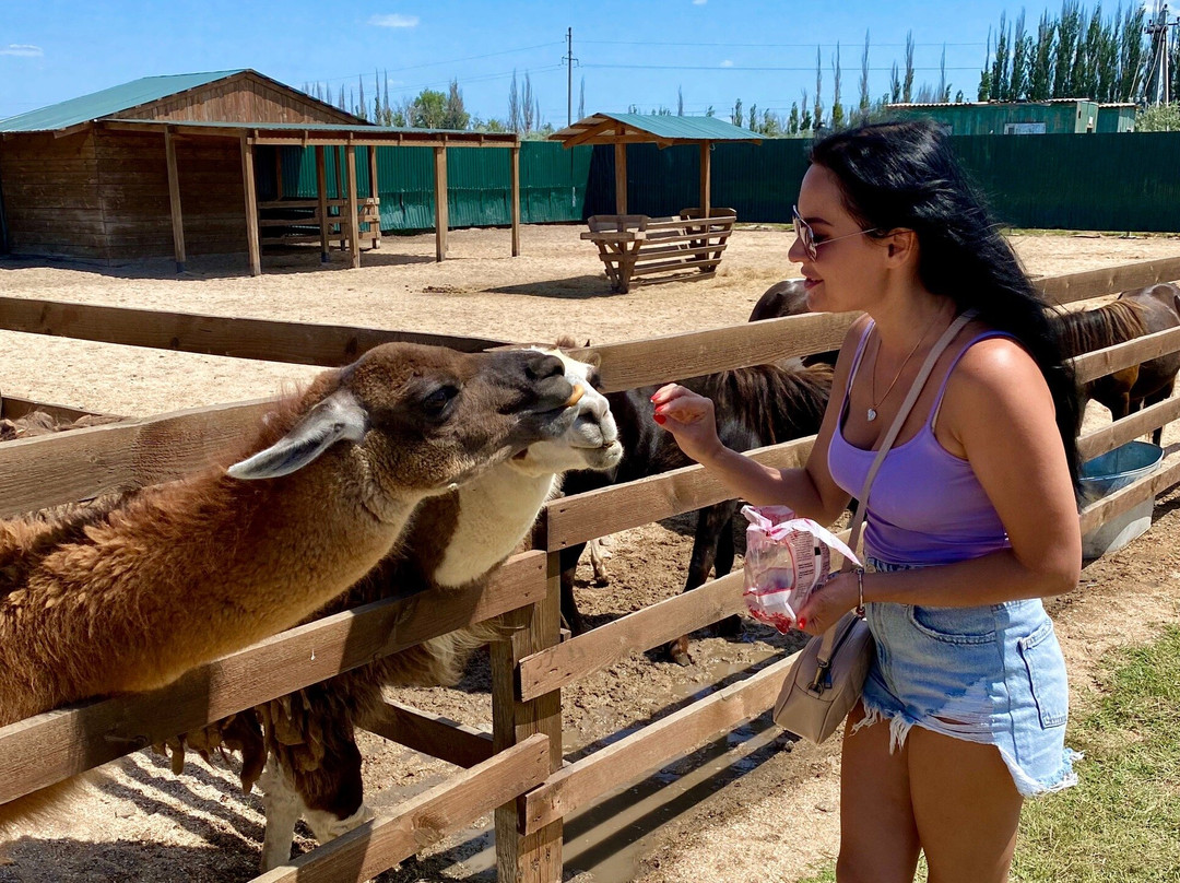 Safari Park景点图片