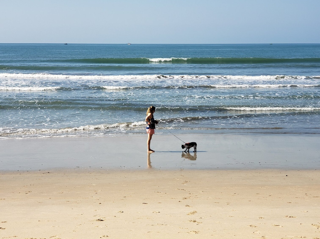 Praia das Toninhas景点图片