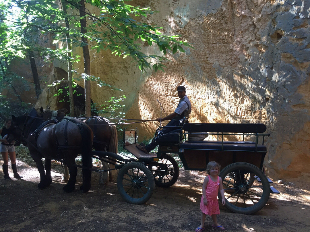 Provence Hipposervices景点图片