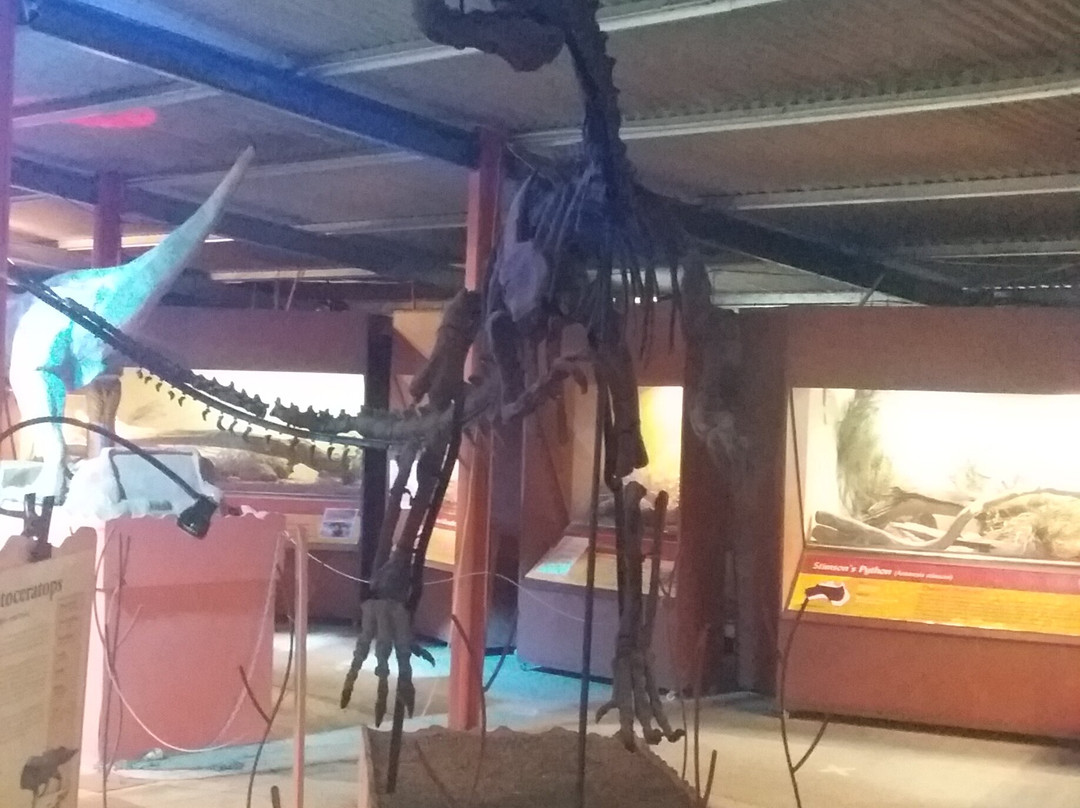 Denmark Dinosaur World景点图片