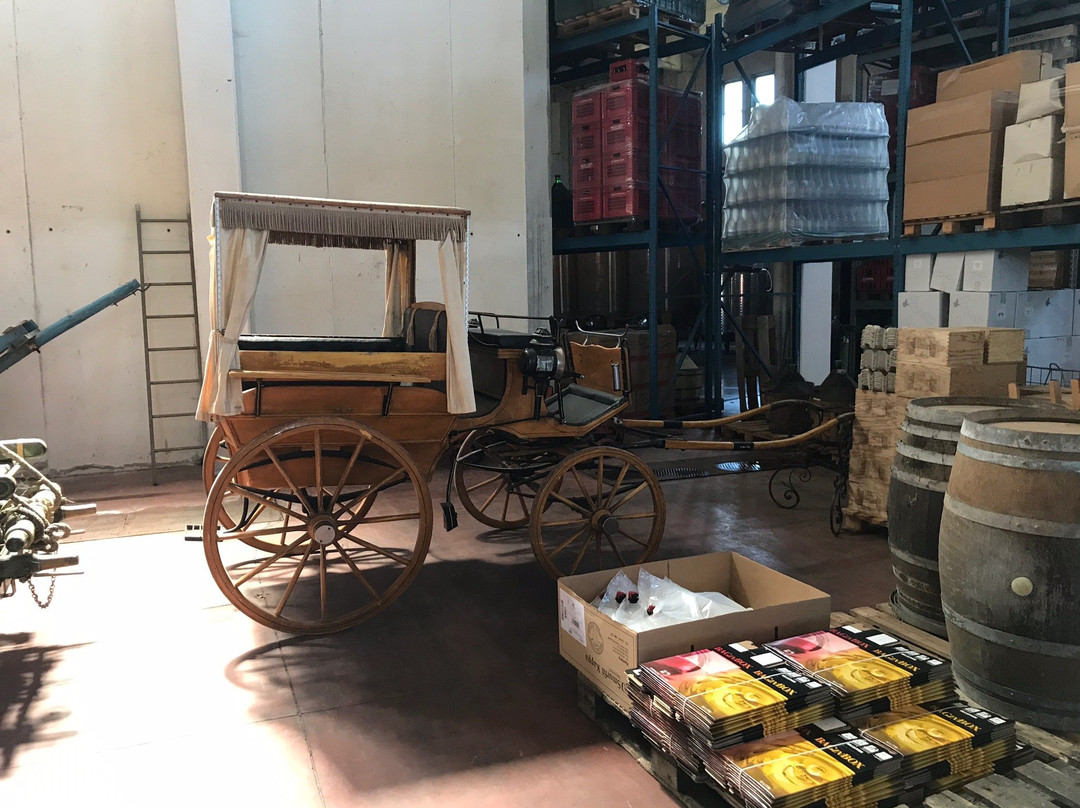 Cantine Macrì景点图片