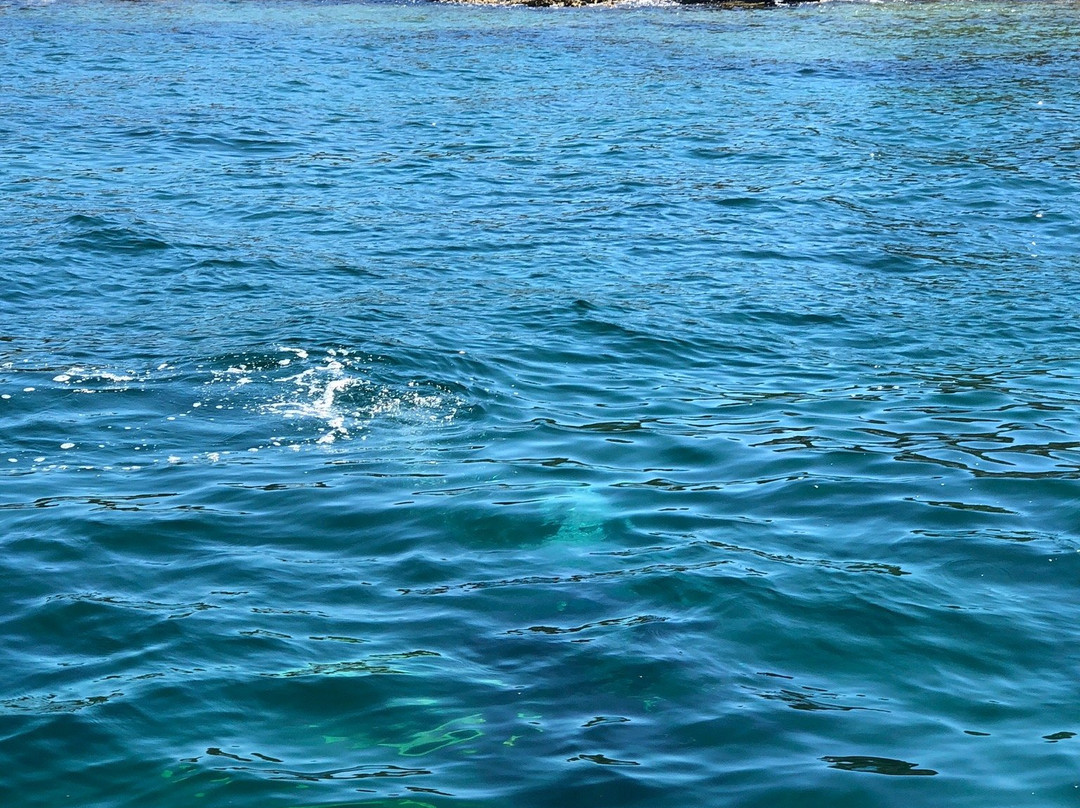 Diving Center Indie-Banjole必去景点