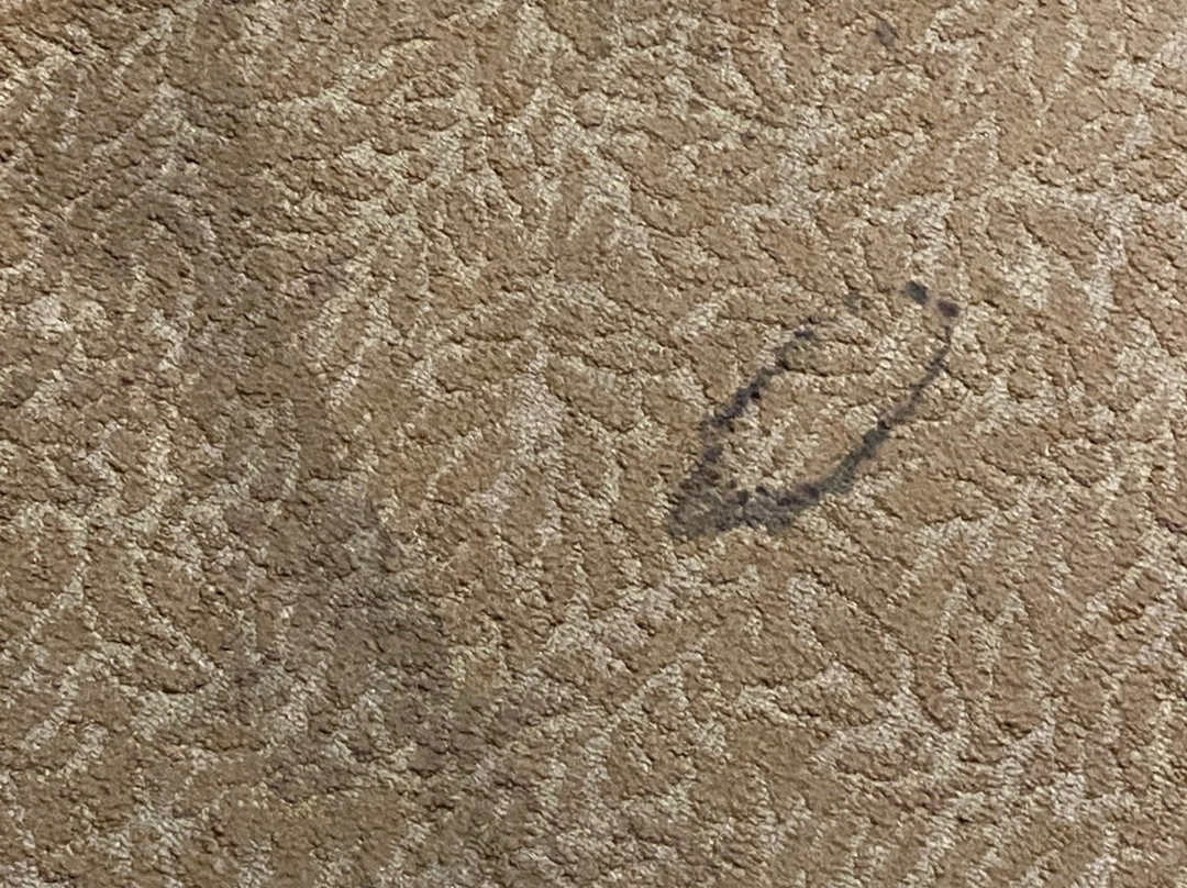 Country Inn & Suites by Radisson, Anderson, SC主图