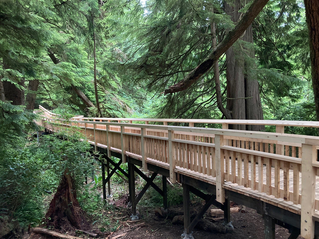 Cedar Wetlands Preserve-Rockaway Beach必去景点