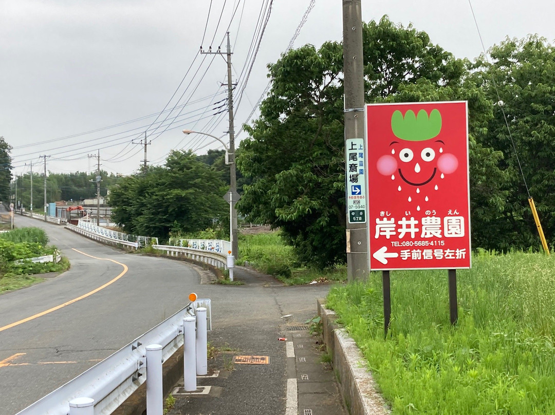 Kishii Farm-上尾市必去景点