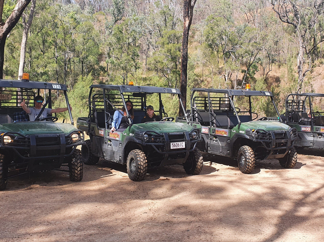 Oz Buggy Tours-Kingaham必去景点