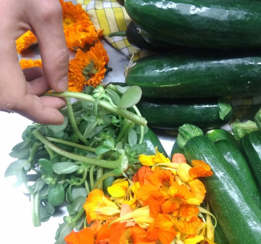 Chef Lyon-里昂必去景点