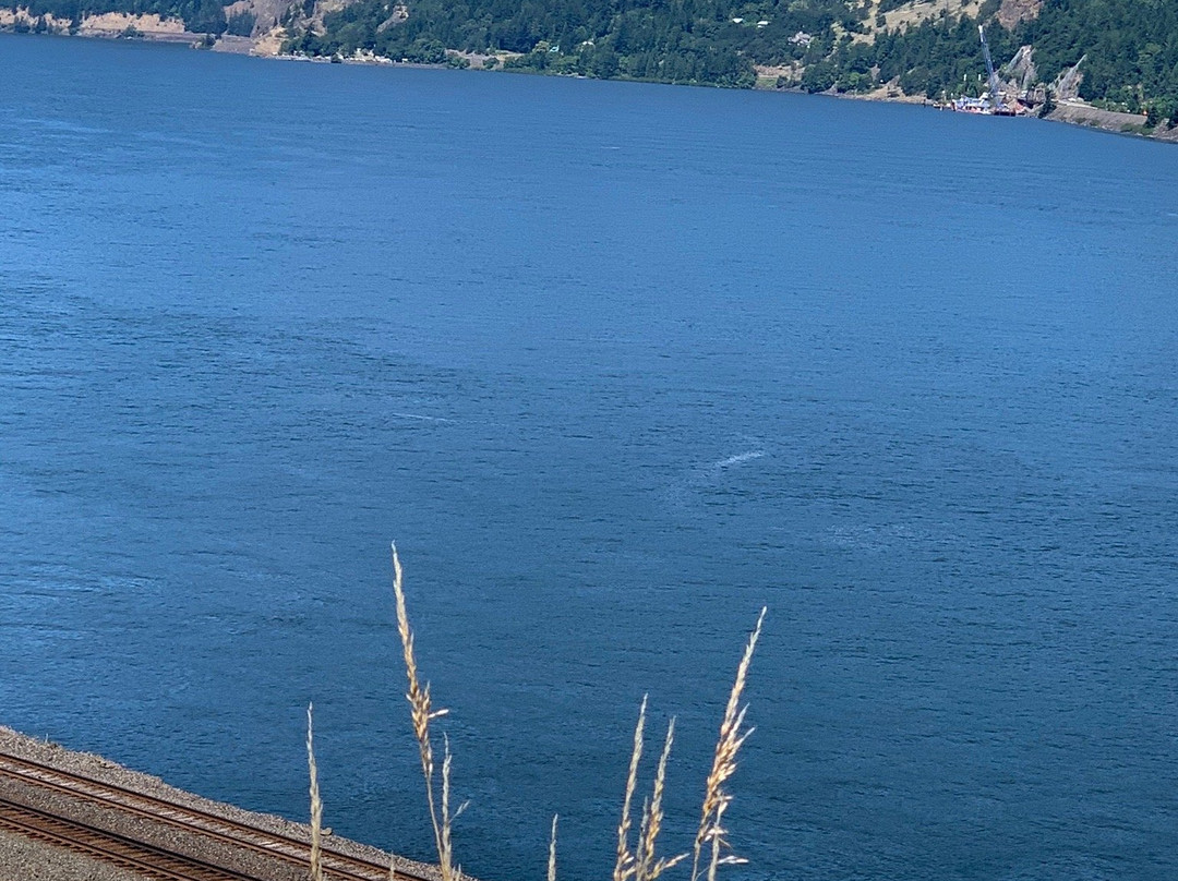 Mitchell Point Trail-胡德里弗必去景点