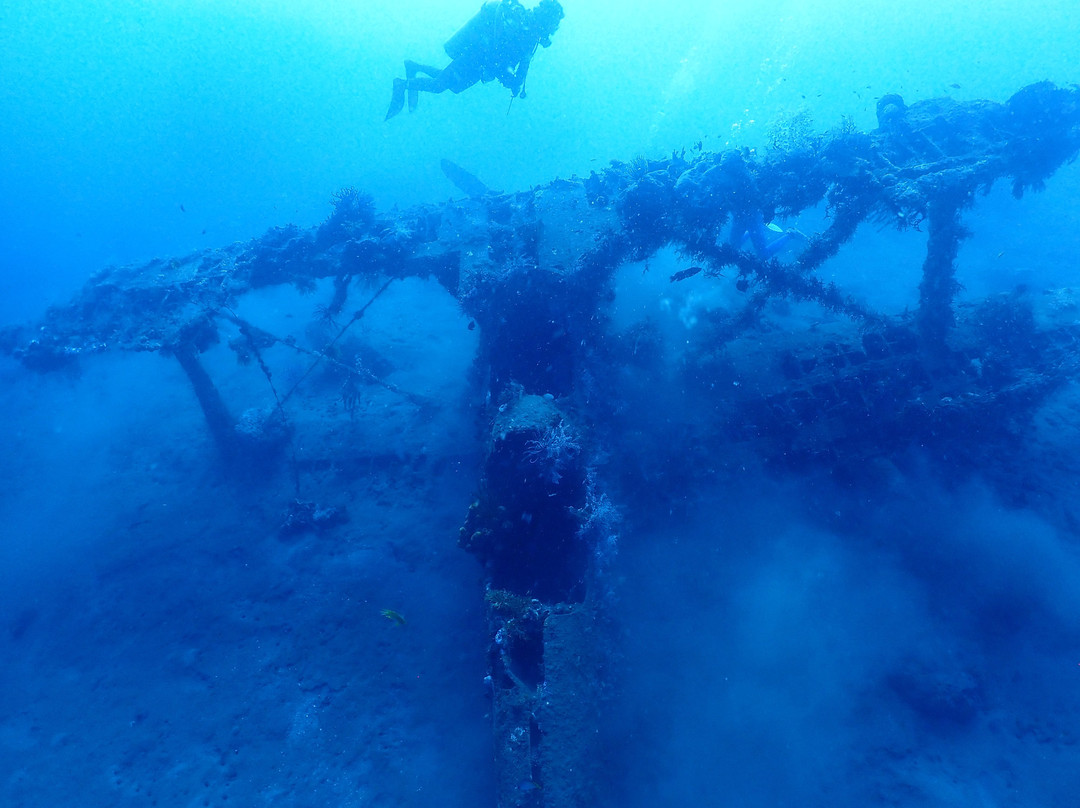 Rabaul Dive Adventures-Kokopo必去景点
