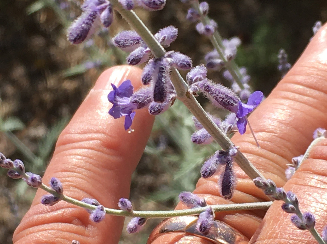 Super 8 by Wyndham Trinidad主图