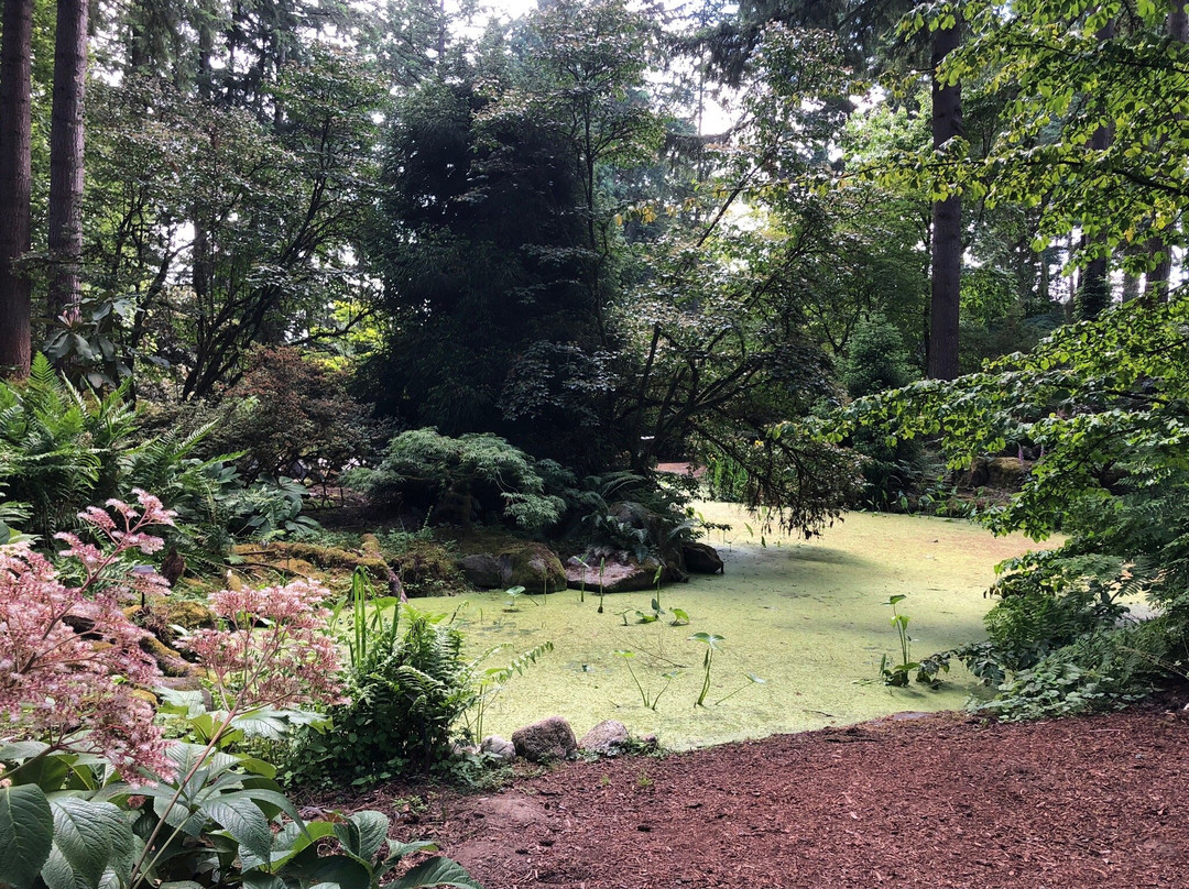 Rhododendron Species Botanical Garden-费德勒尔韦必去景点