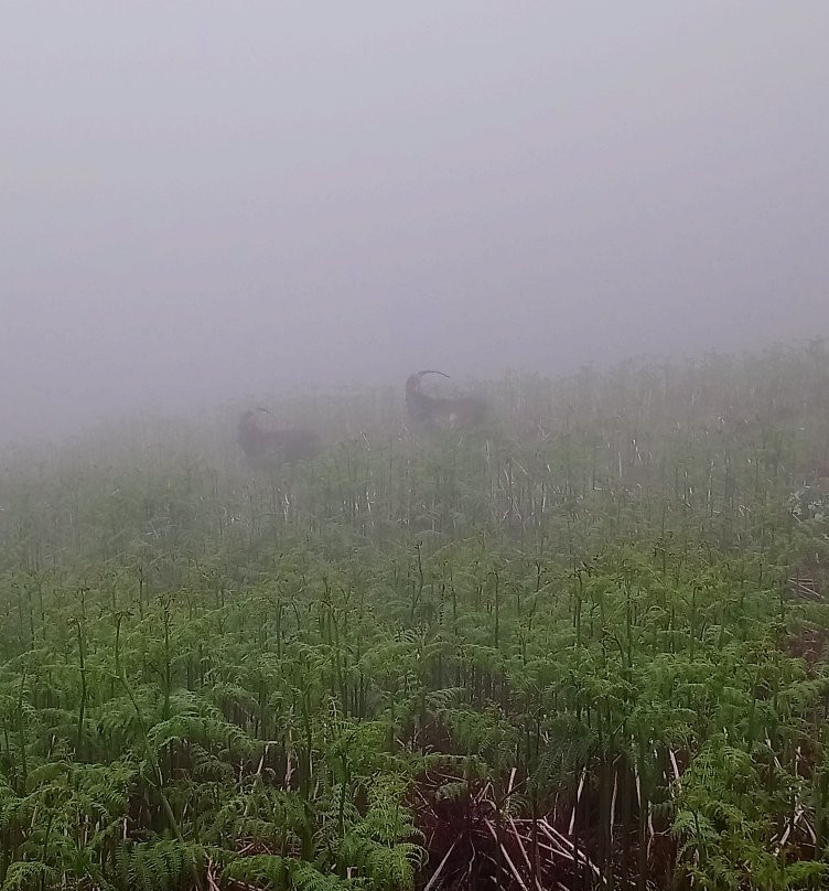 Cheviot Hills-Wooler必去景点