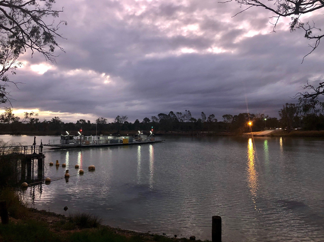 Swan Reach Ferry景点图片