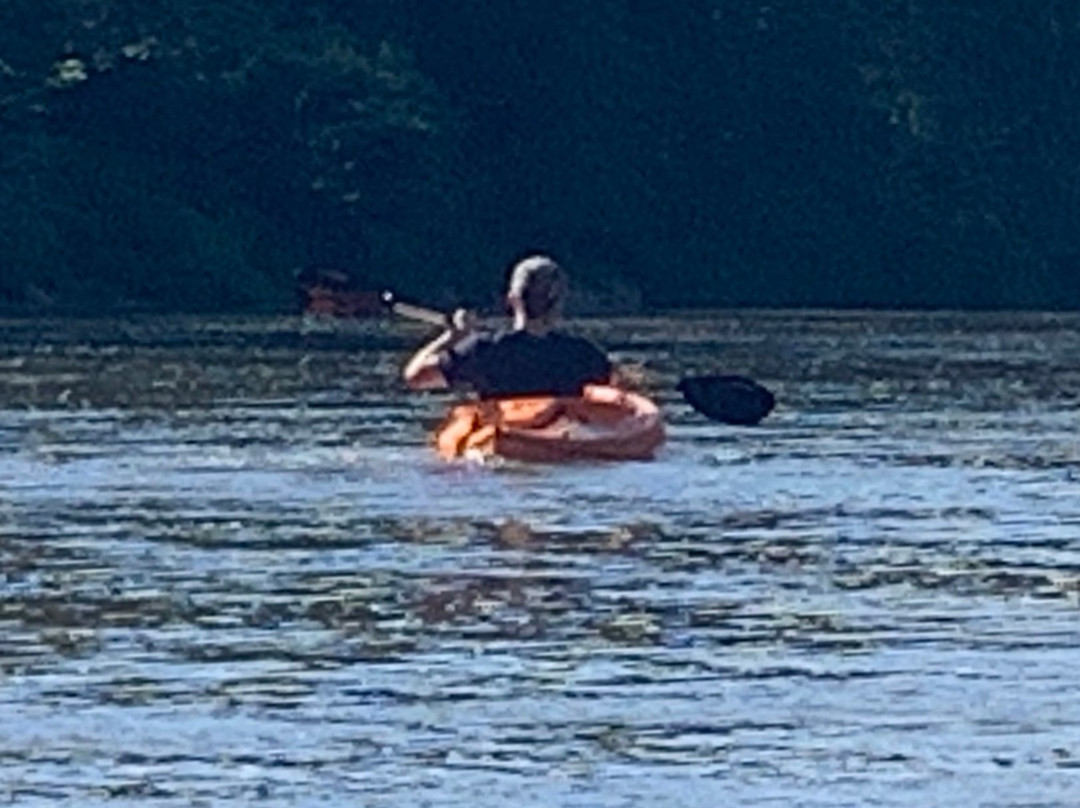 Flint River Adventures-Thomaston必去景点