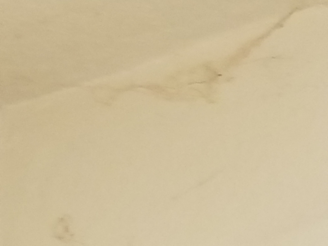 Lily Lake Resort-Burlington必去景点