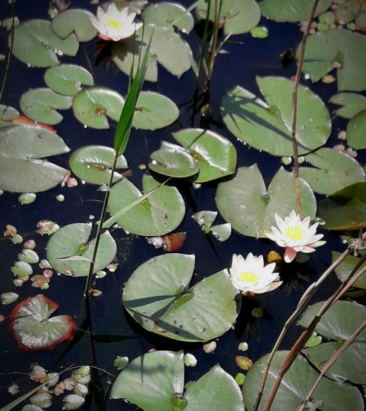 Haeyeorim Village主图