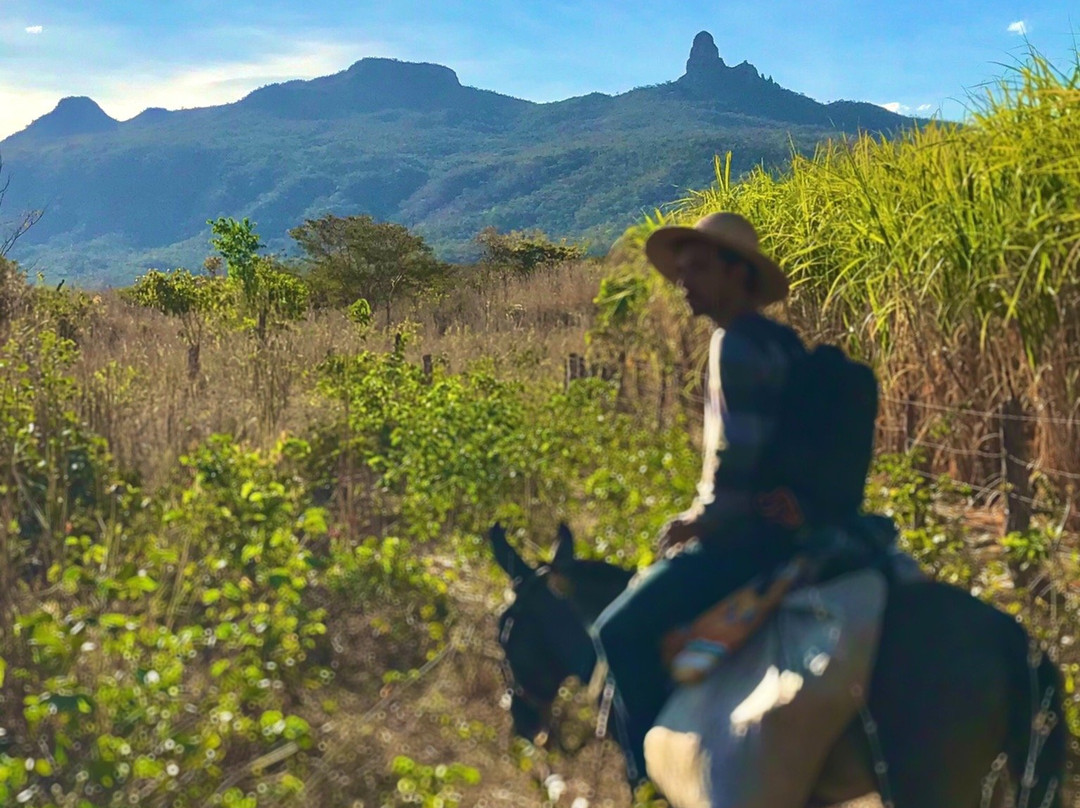 Kalunga Community-Cavalcante必去景点