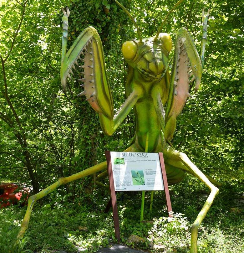 Park Robali Parkus Gigantus景点图片
