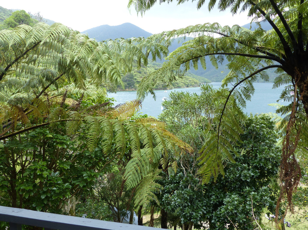 Punga Cove Resort主图