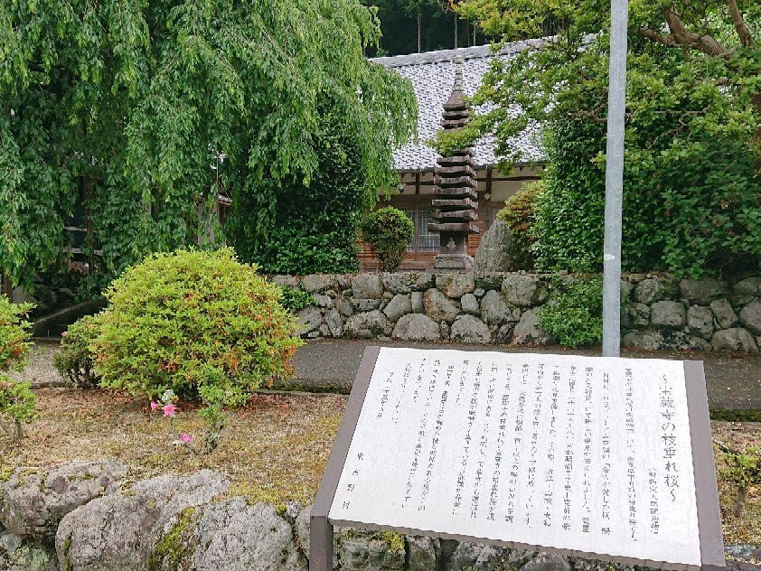 Hozoji Temple景点图片