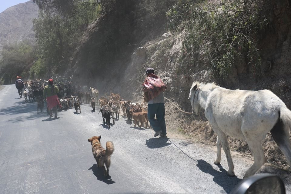 Pakary Travel Peru-万卡亚必去景点