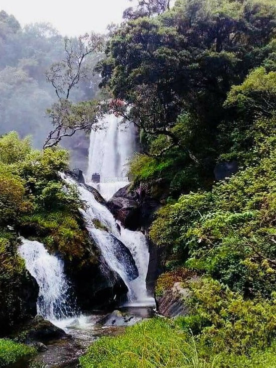 Knuckles Mountain Range-中央省必去景点