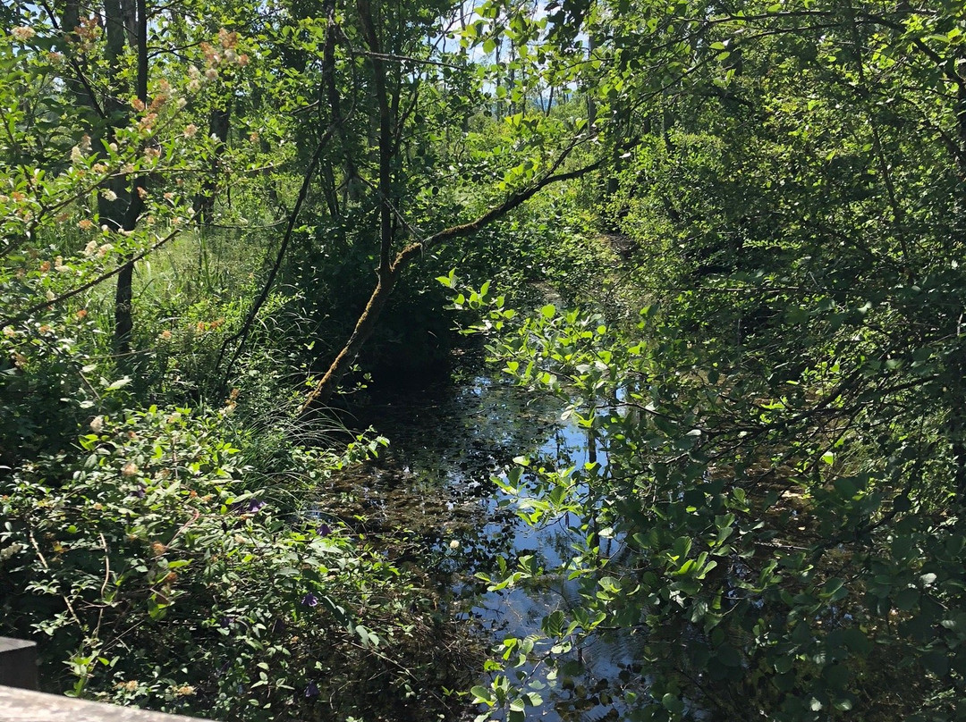 Réserve Naturelle du Marais de Lavours-Ceyzerieu必去景点
