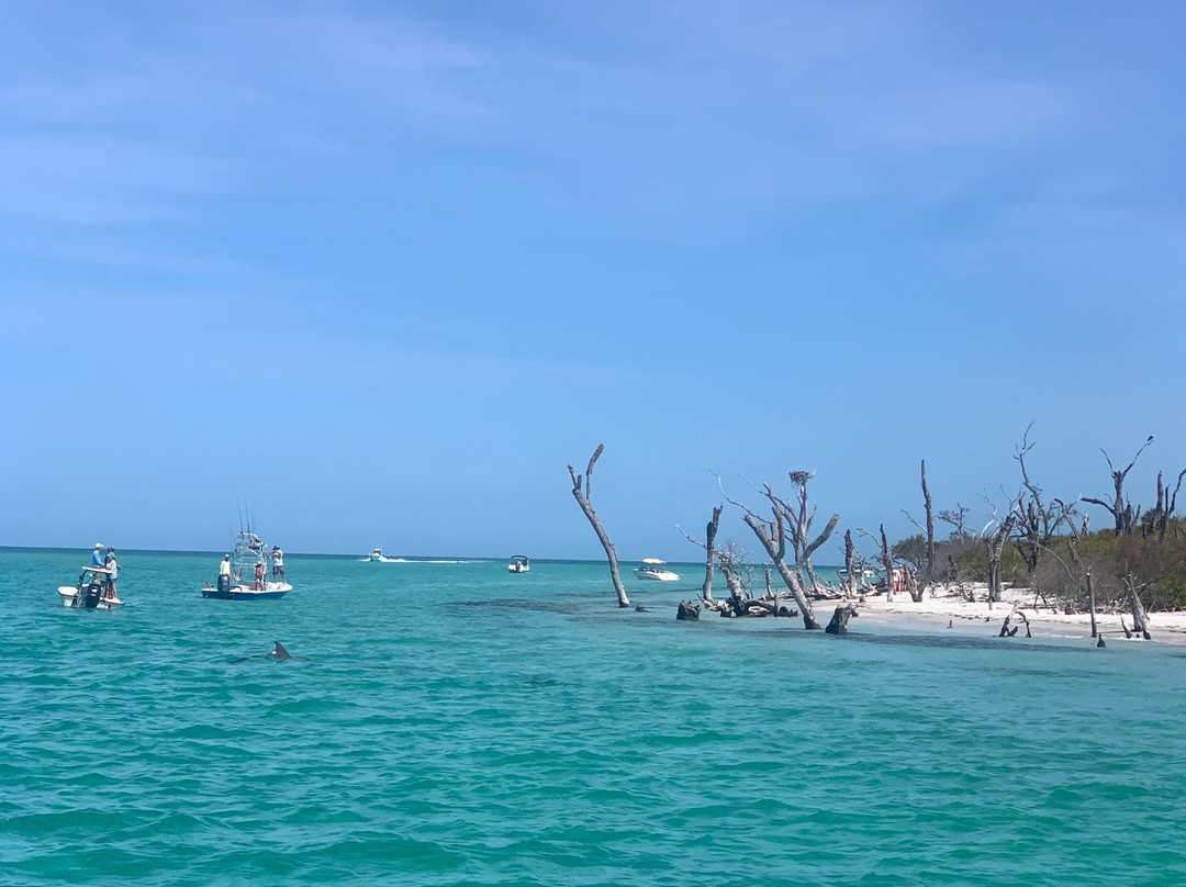 Captiva Pass-俘虏岛必去景点