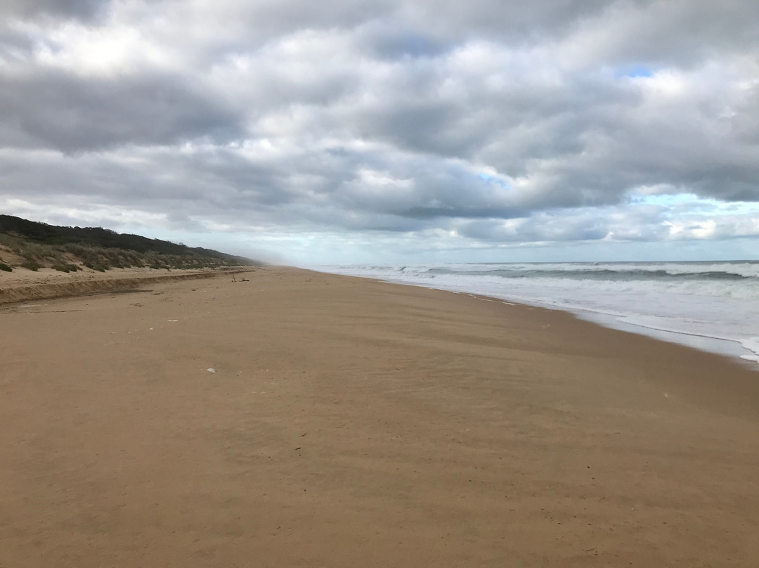 Trinculo Shipwreck-Golden Beach必去景点