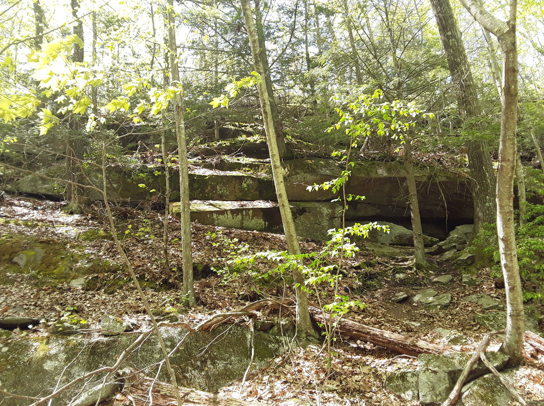 Case Mountain-曼彻斯特必去景点