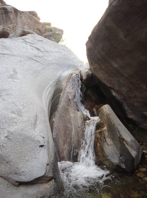 Indian Canyons Hiking Trails-棕榈泉市必去景点