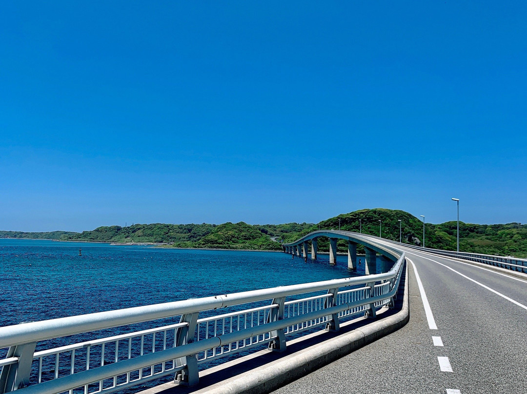Tsunoshima Island-下关市必去景点