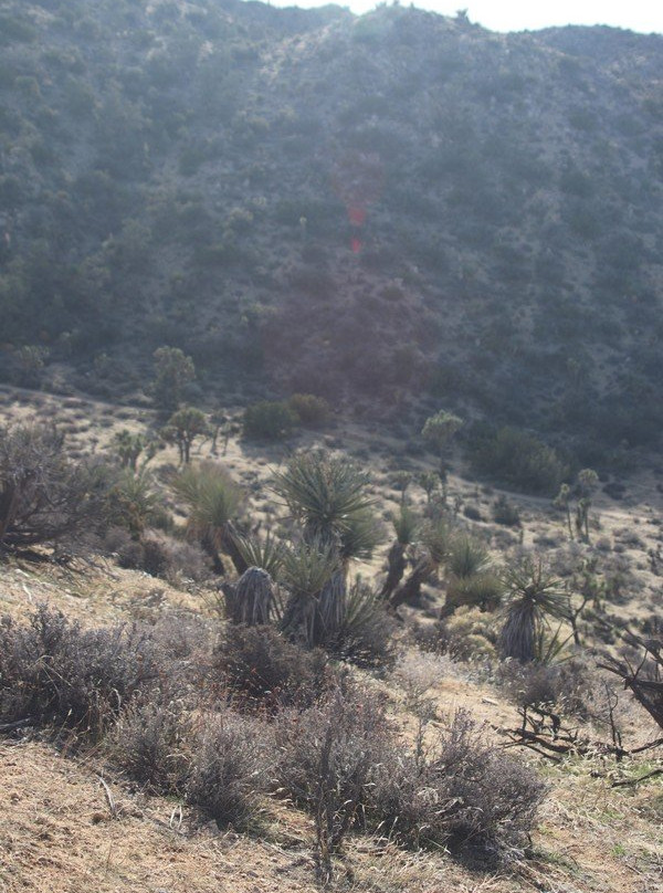 Hi-View Nature Trail景点图片