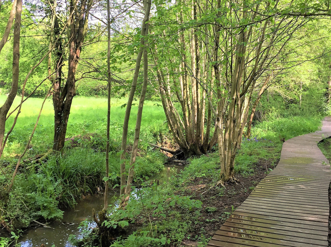 Crane Valley Local Nature Reserve景点图片