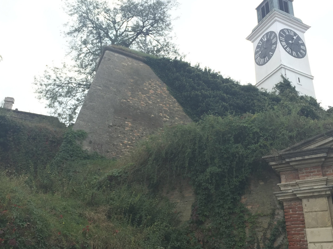 The Clock Tower-Petrovaradin必去景点