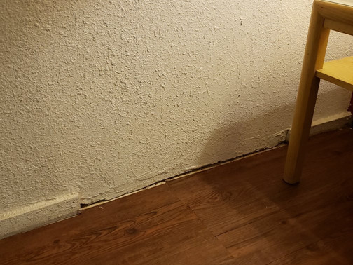 Econo Lodge Inn & Suites