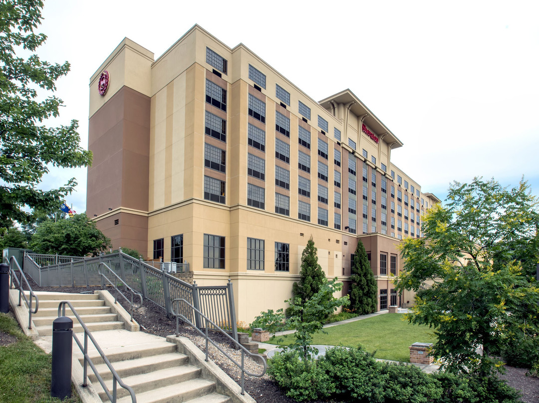 Sheraton Baltimore Washington Airport Hotel - BWI主图