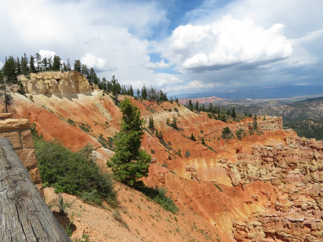 Ponderosa Canyon-布莱斯必去景点
