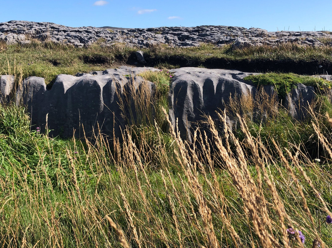 PremierChauffeurDrive.ie-都柏林必去景点