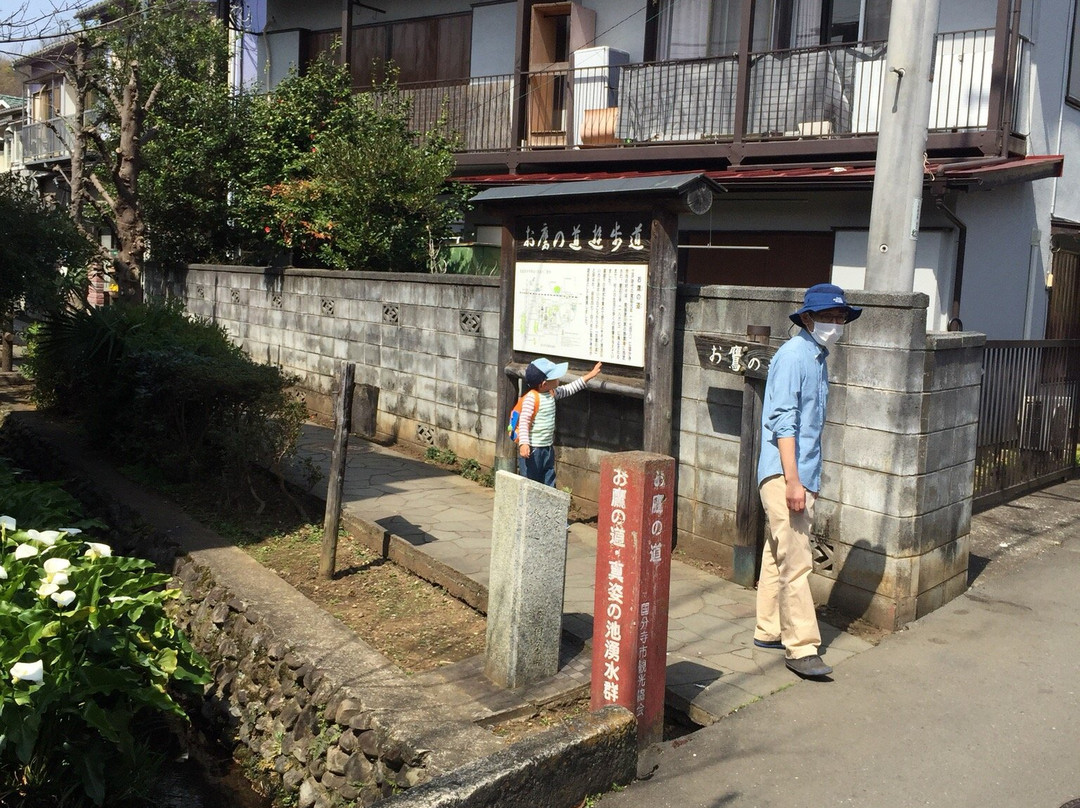 Masugata no Ike Group of Springs/Otaka no Michi-国分寺市必去景点